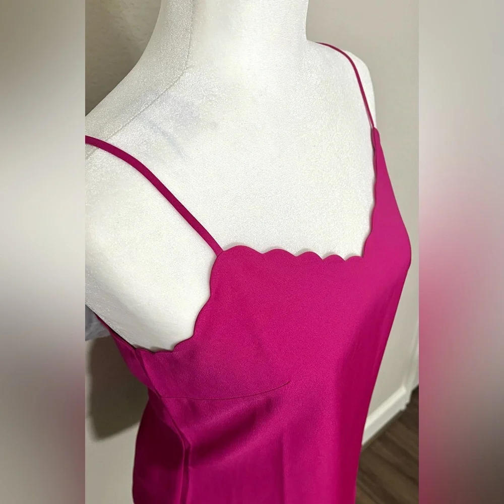 J. Crew Scalloped Preppy Academia Camisole Size 2